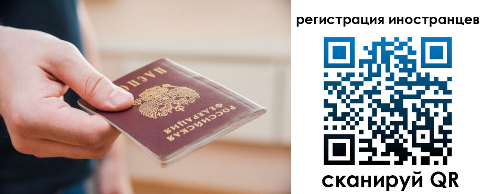 прописка гарантия в Краснозаводске
